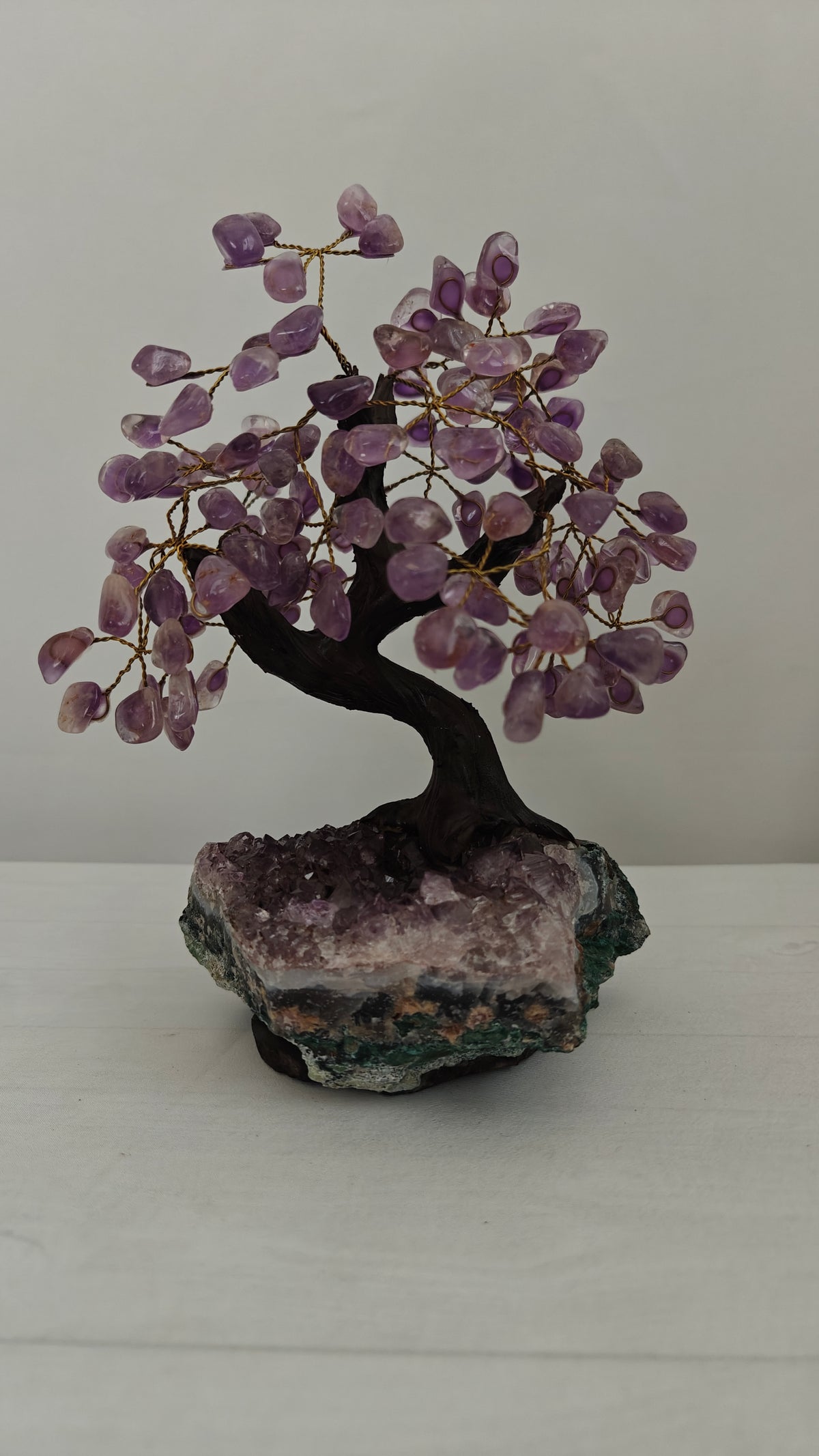 Bonsai Mediano