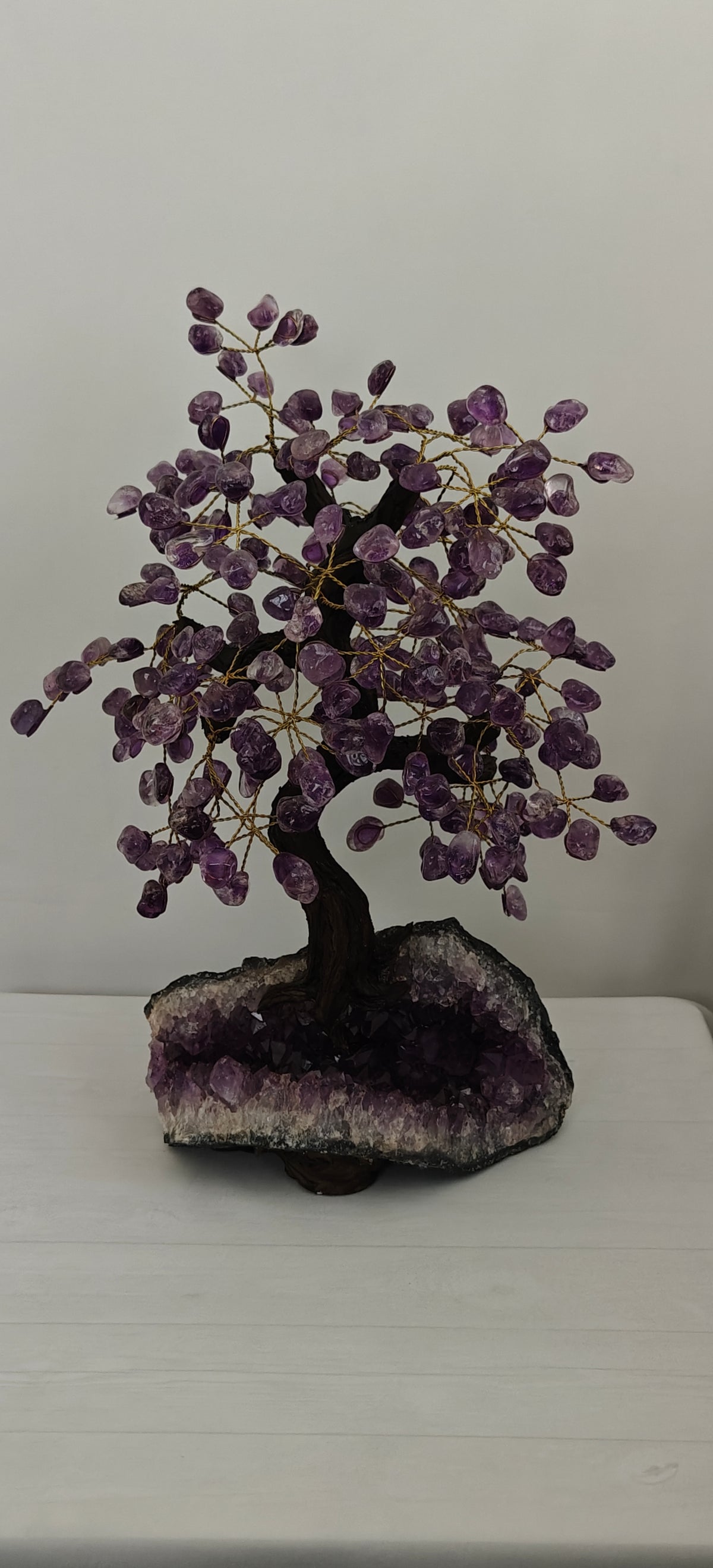 Bonsai Grande