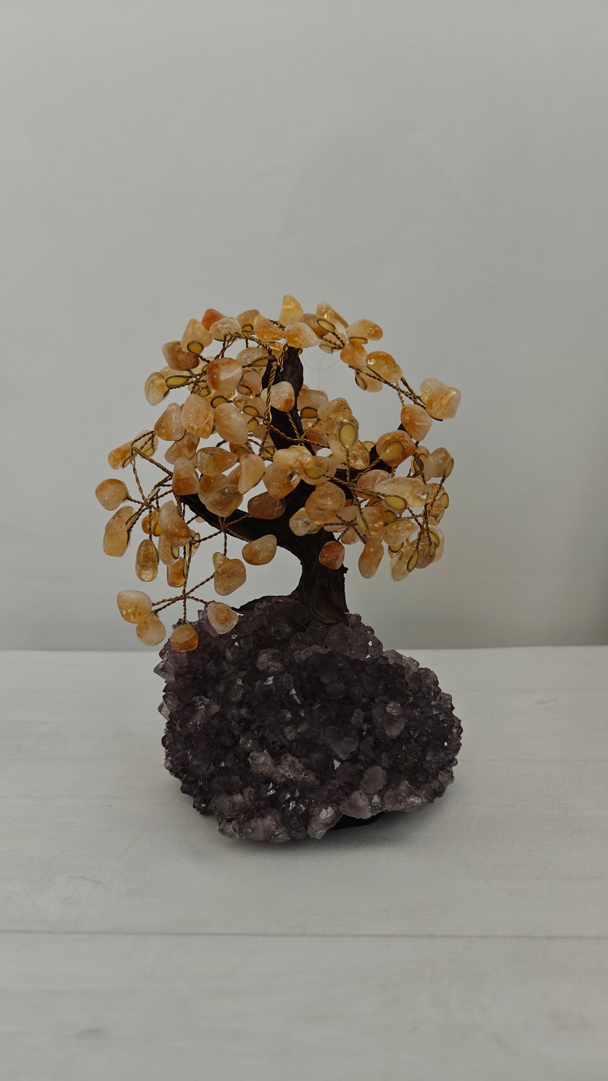 Bonsai Mediano
