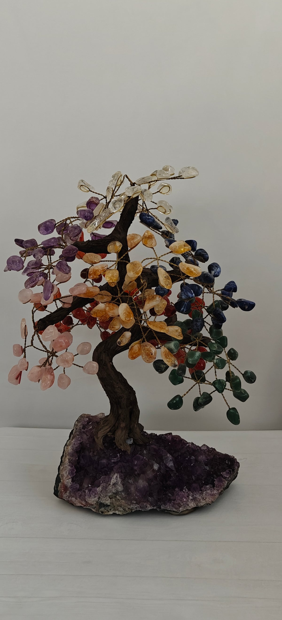 Bonsai Grande