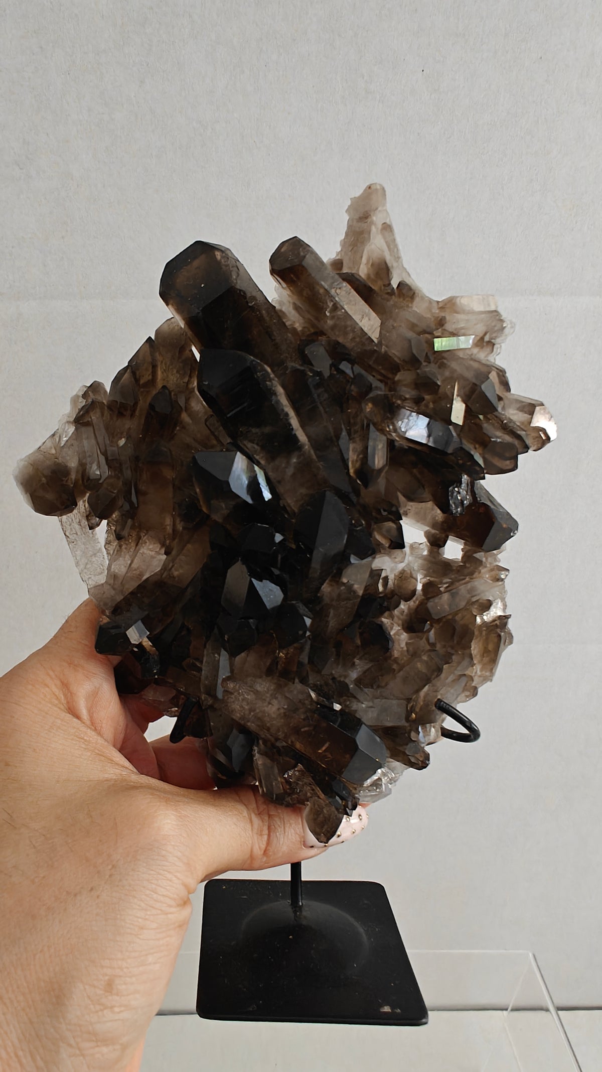 Clusters de Cuarzo Ahumado (Smoky Quartz Cluster)