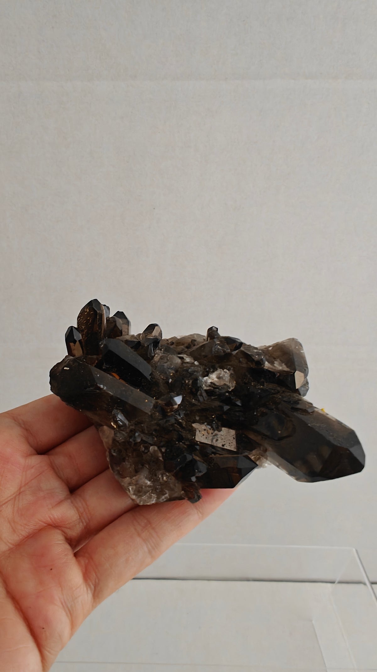 Clusters de Cuarzo Ahumado (Smoky Quartz Cluster)