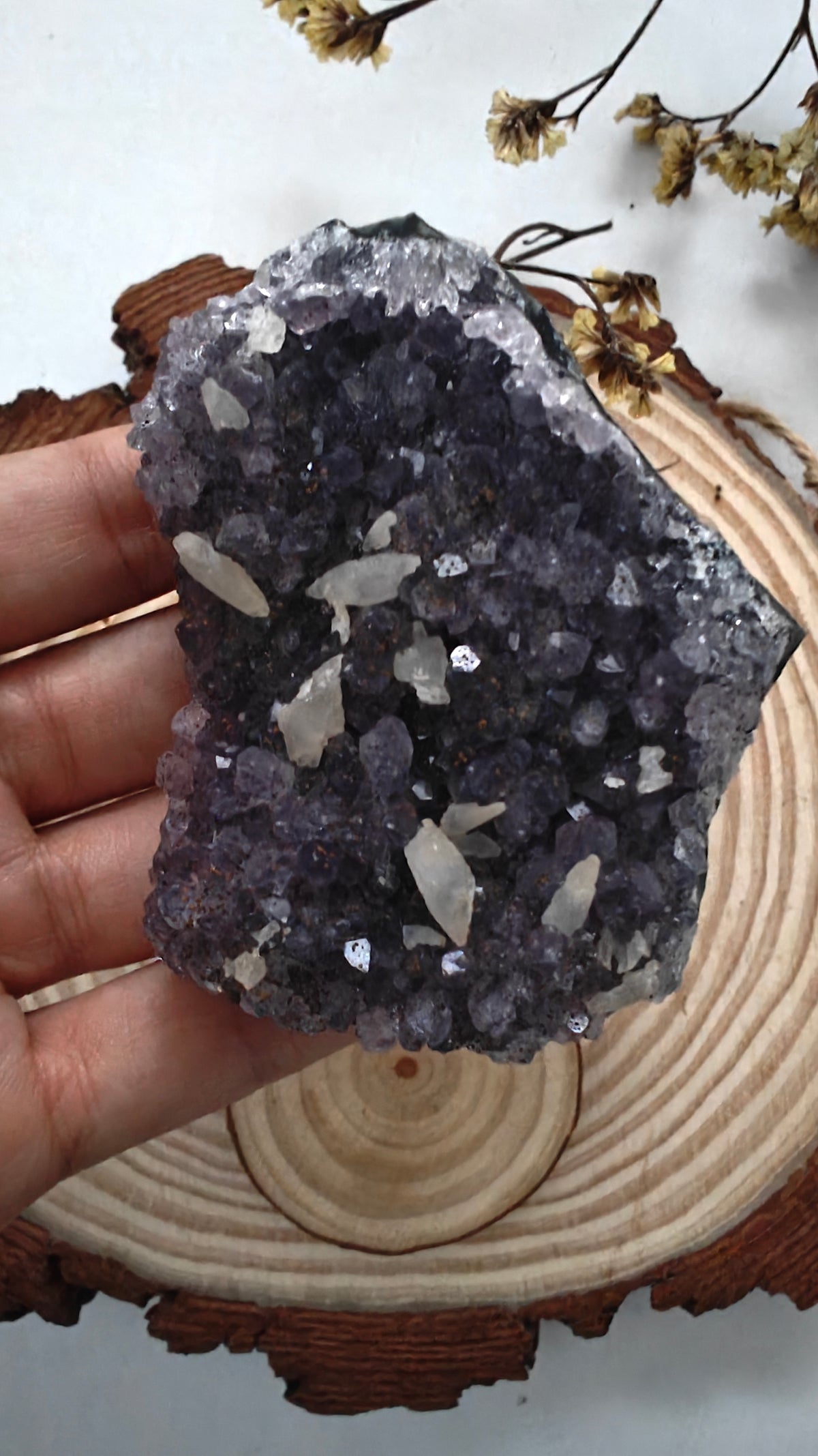 Mini Clusters Amatista con Calcita