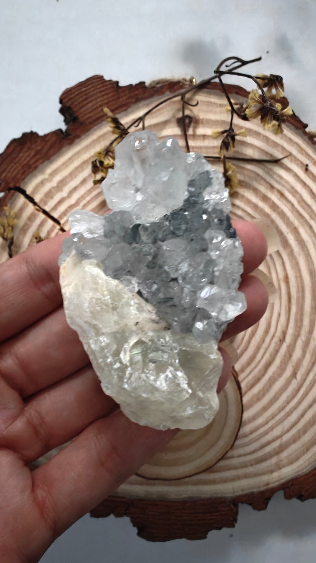 Mini Clusters Amatista con Calcita