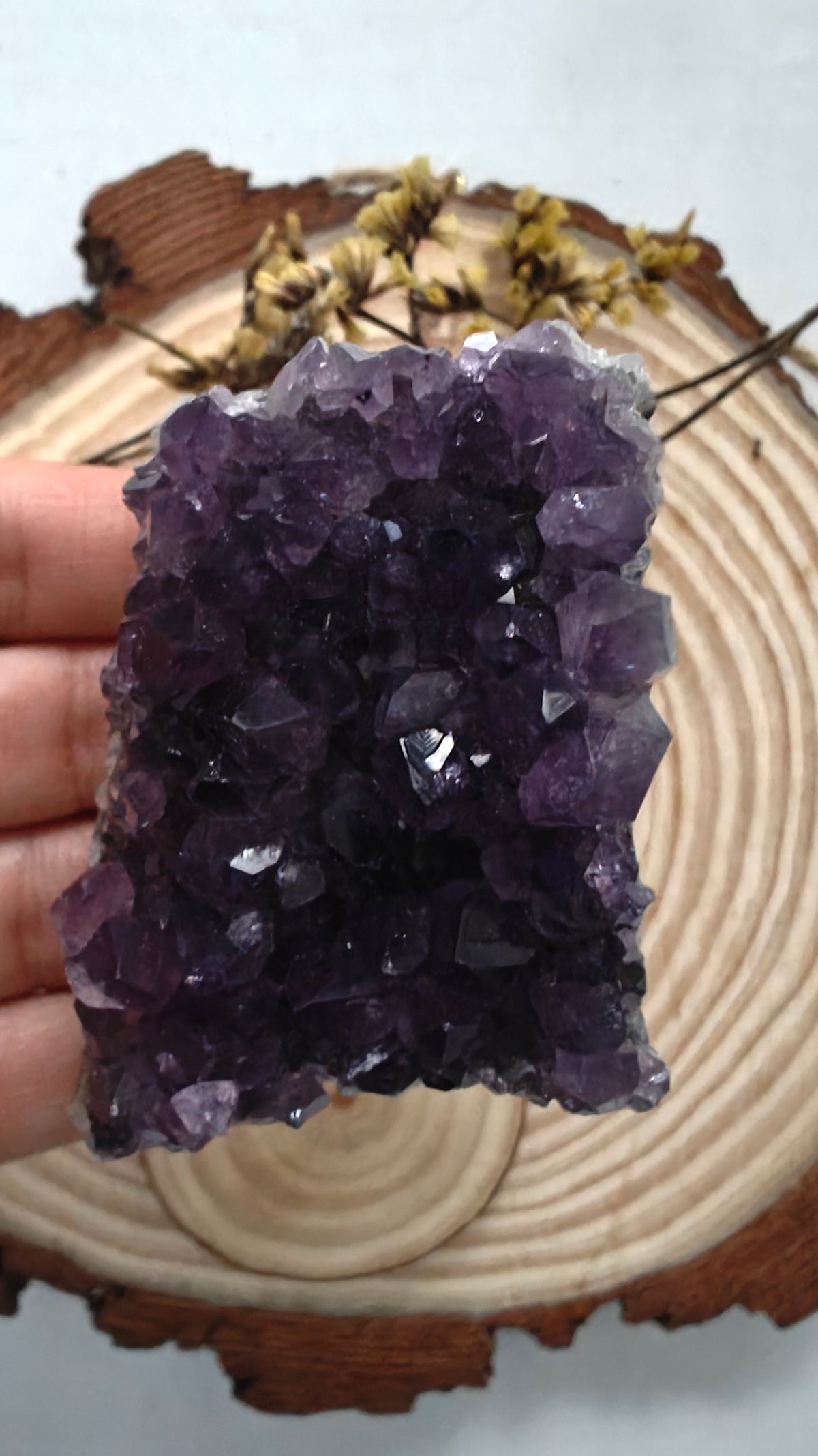 Mini Clusters Amatista "Special"