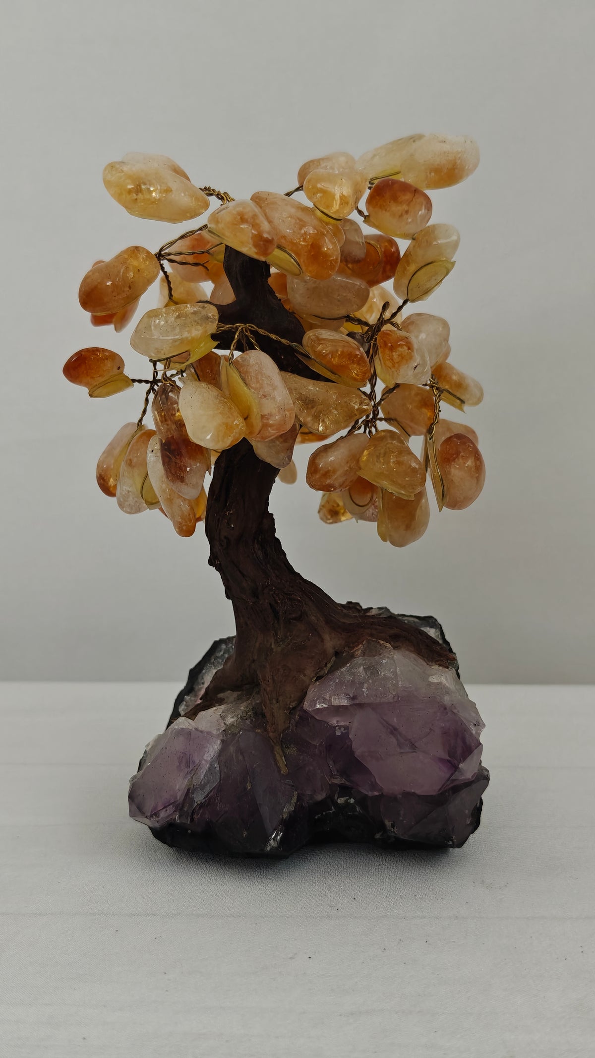 Bonsai Small y XSmall