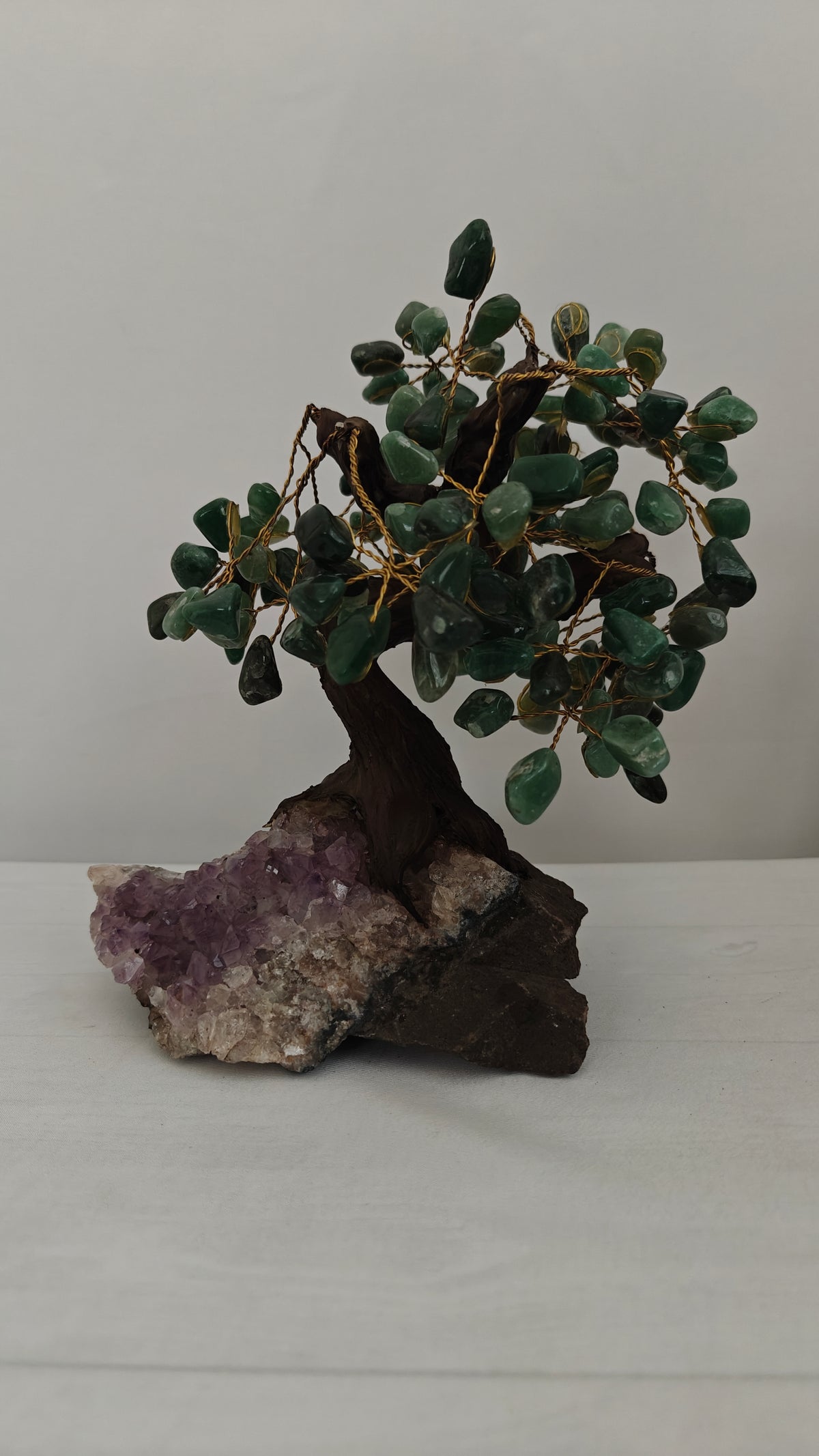 Bonsai Mediano