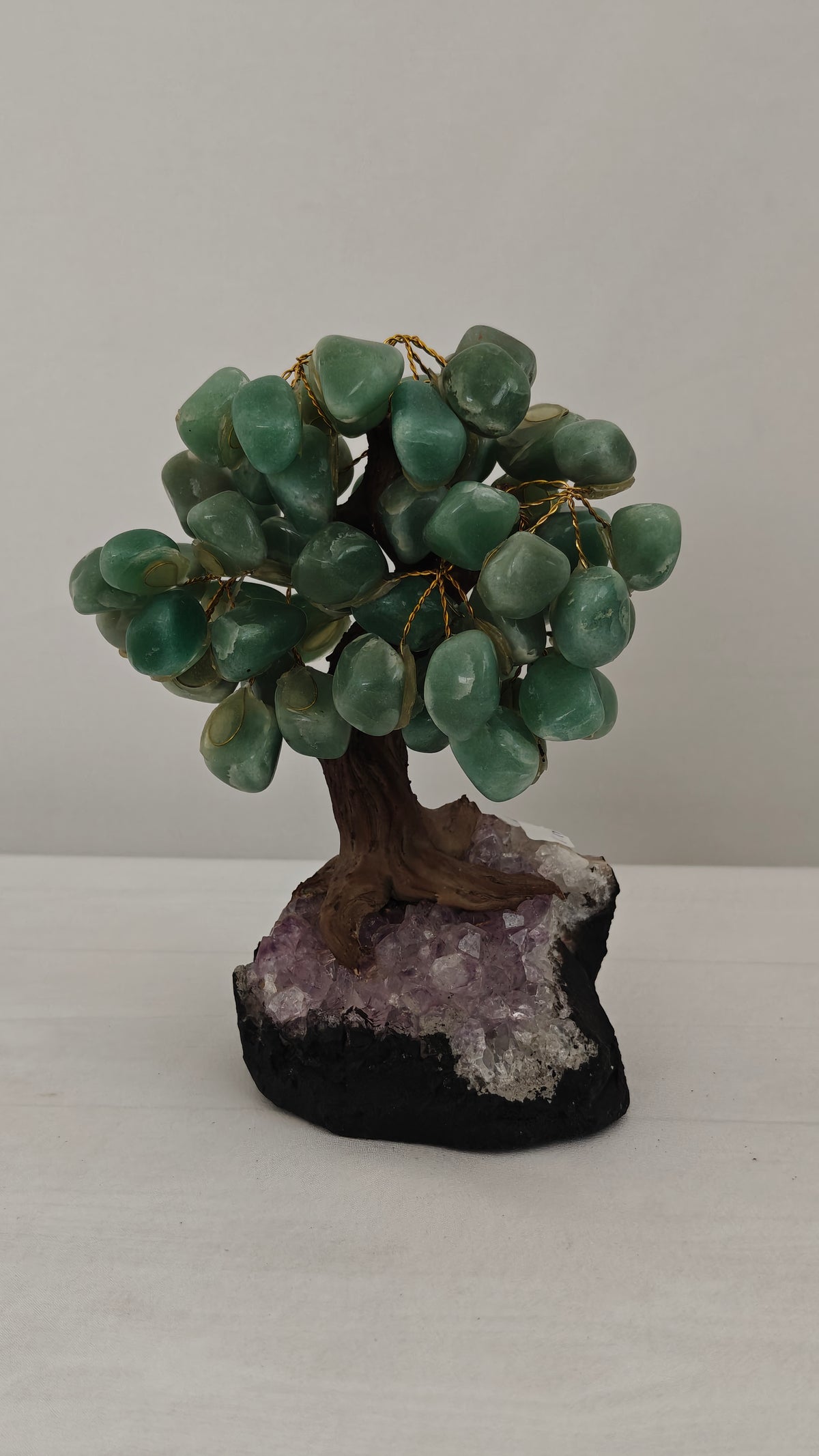 Bonsai Small y XSmall