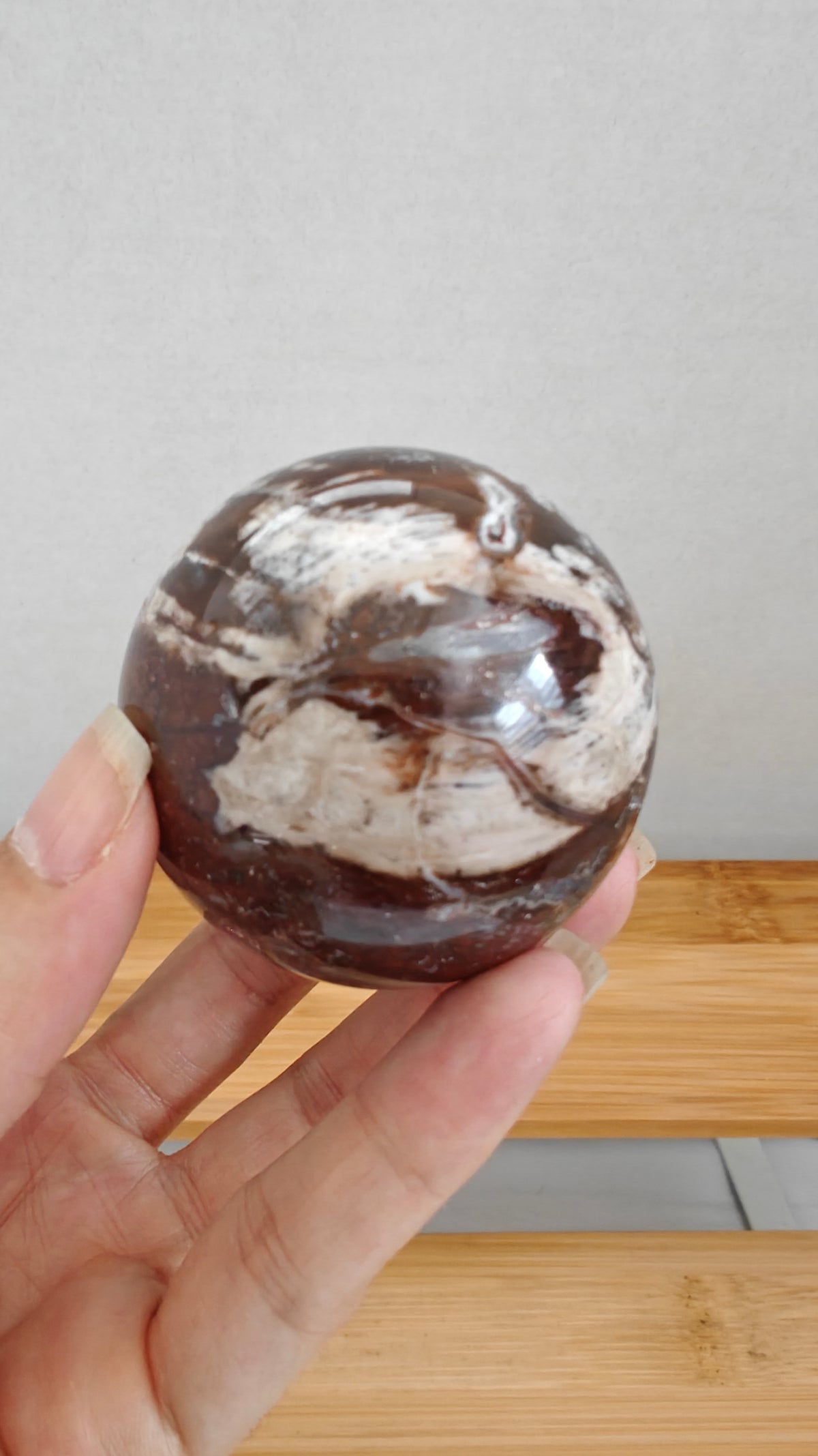 Esferas Madera Petrificada