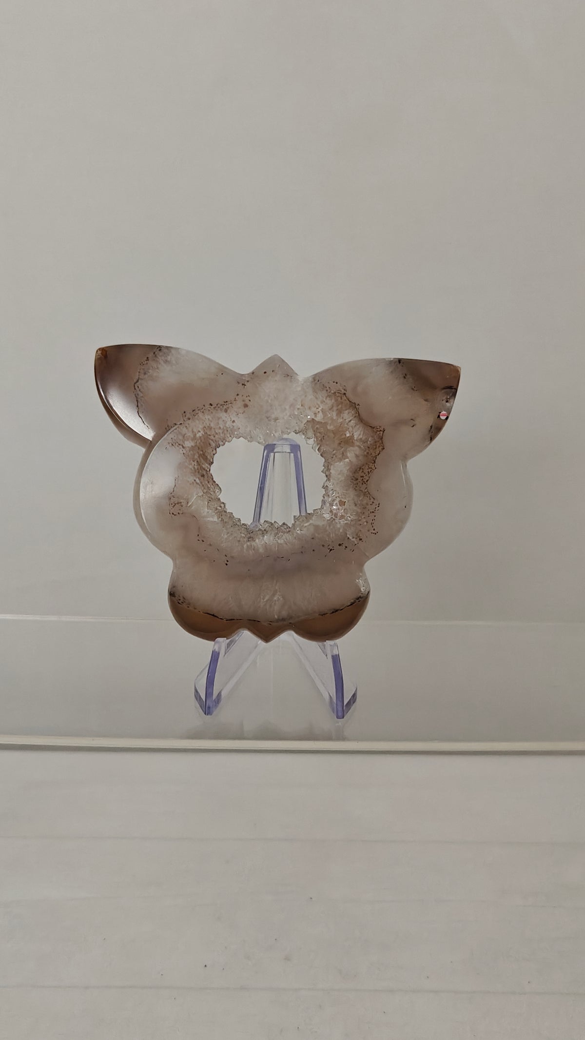 Tallados de Mariposas