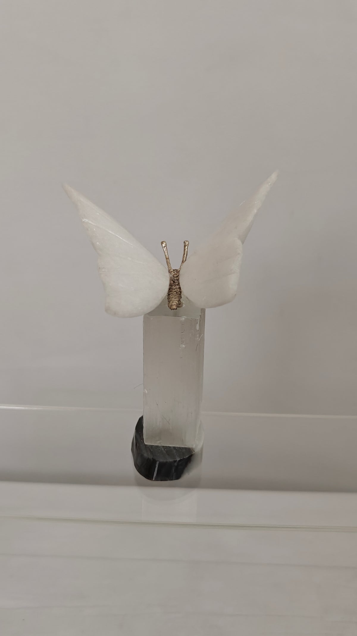Tallados de Mariposas