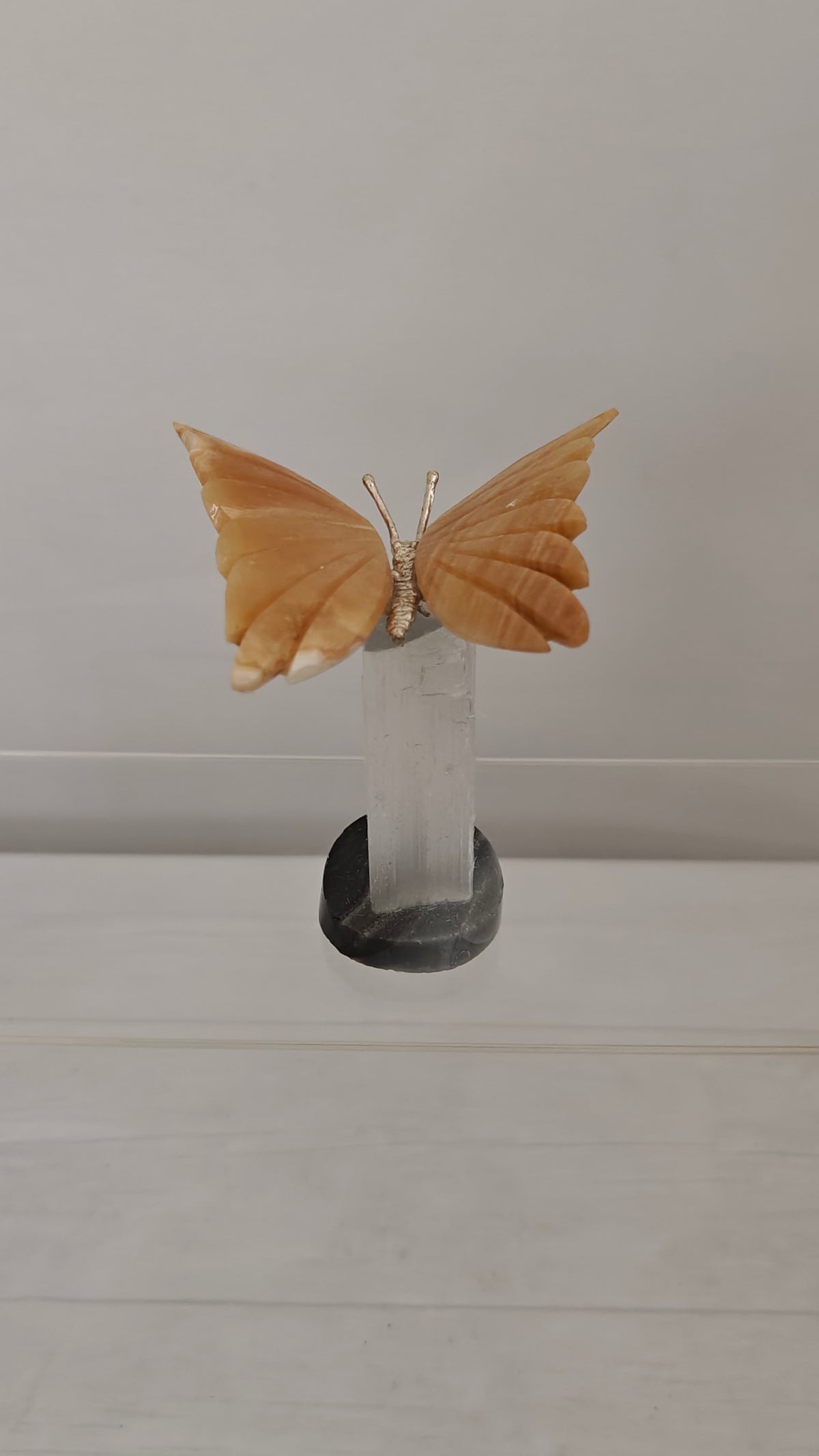 Tallados de Mariposas