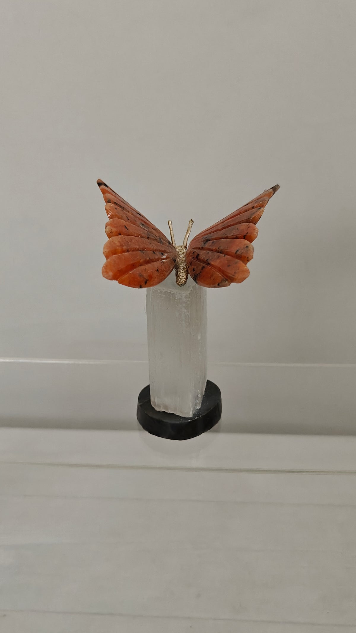 Tallados de Mariposas