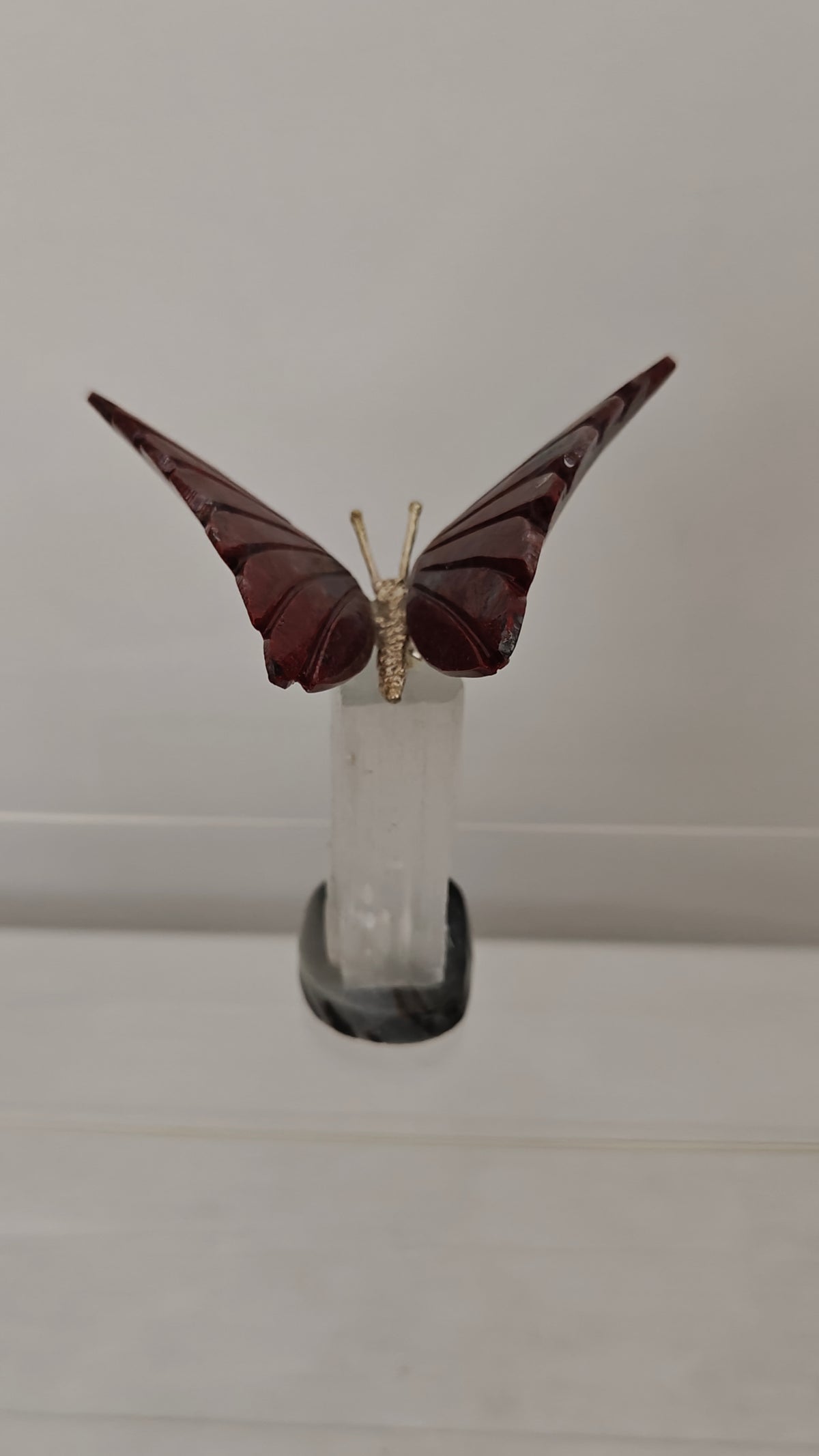 Tallados de Mariposas
