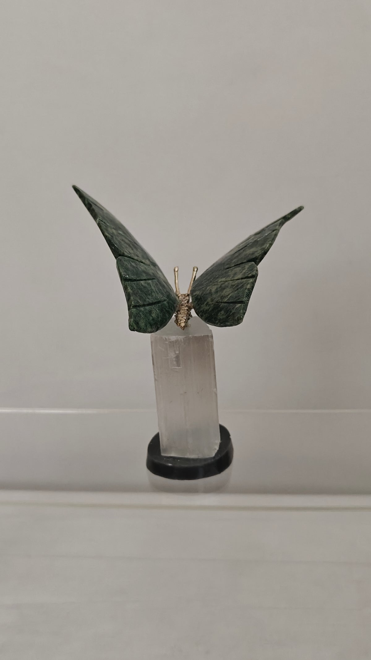 Tallados de Mariposas