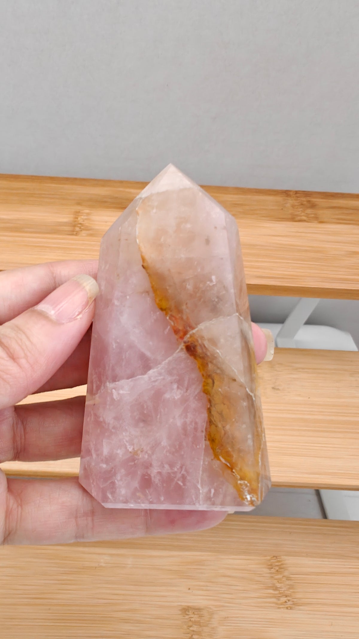 Torres Rose Golden Healer