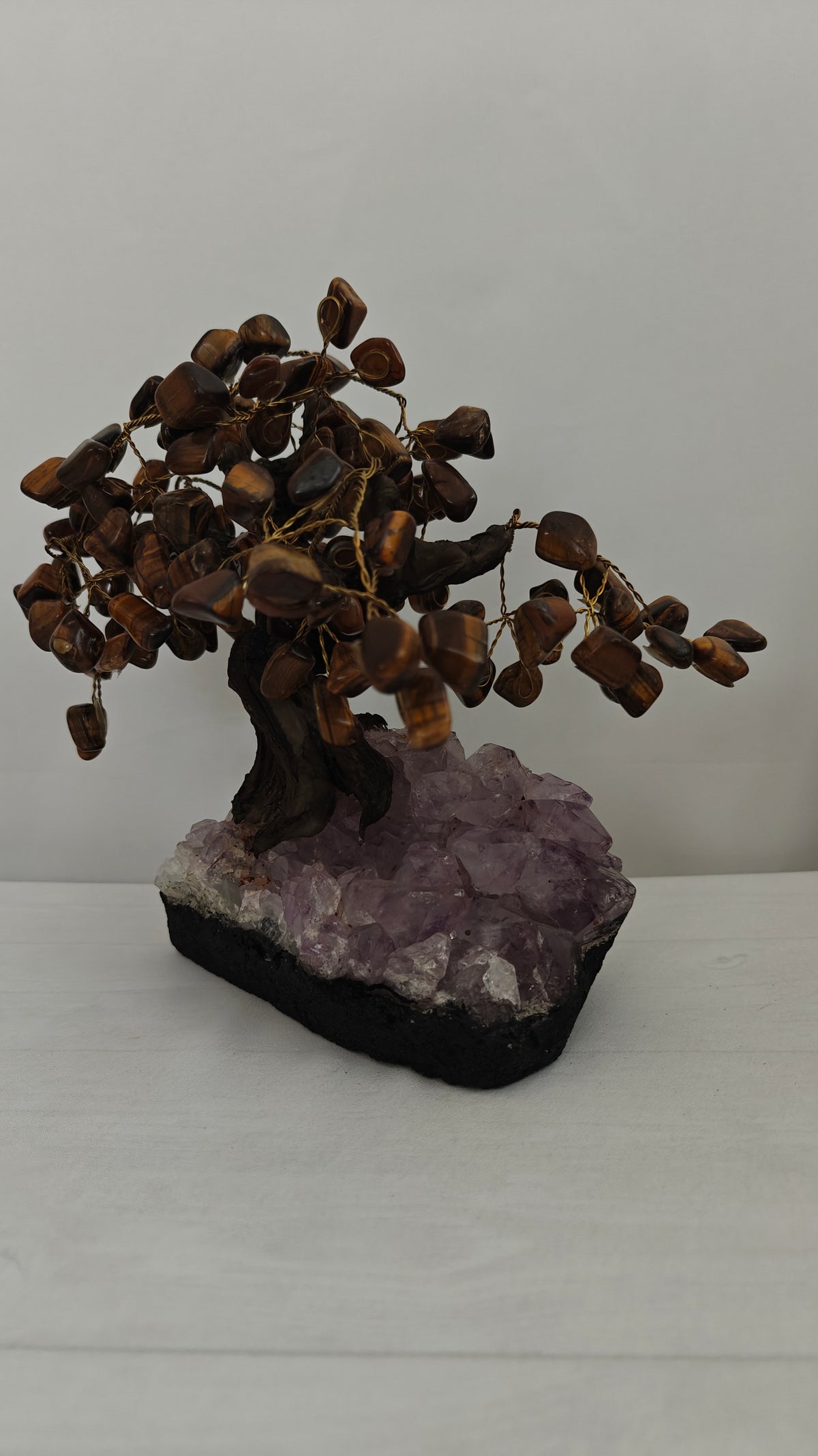 Bonsai Mediano