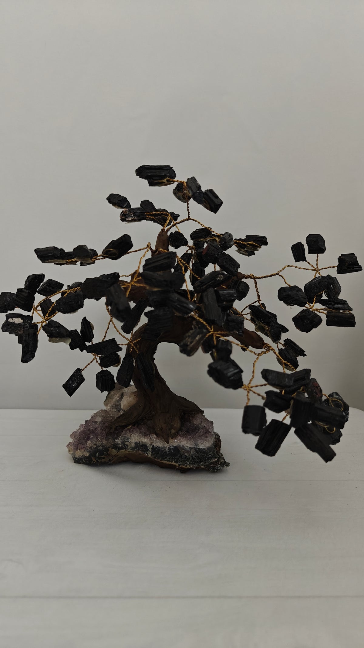 Bonsai Mediano
